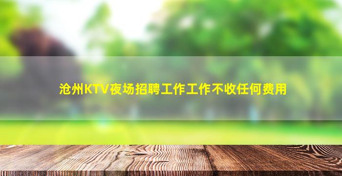 拉萨酒吧招聘